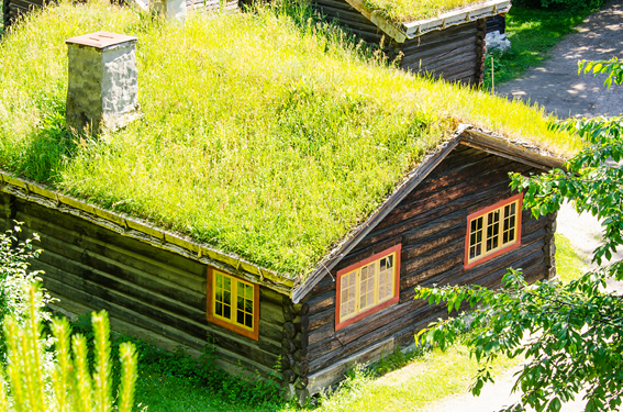 Telhado Verde é alternativa sustentável para economizar água