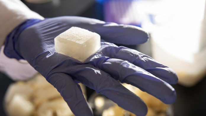 Pesquisadores da Universidade da Califórnia desenvolvem cubos de gelo que não derretem