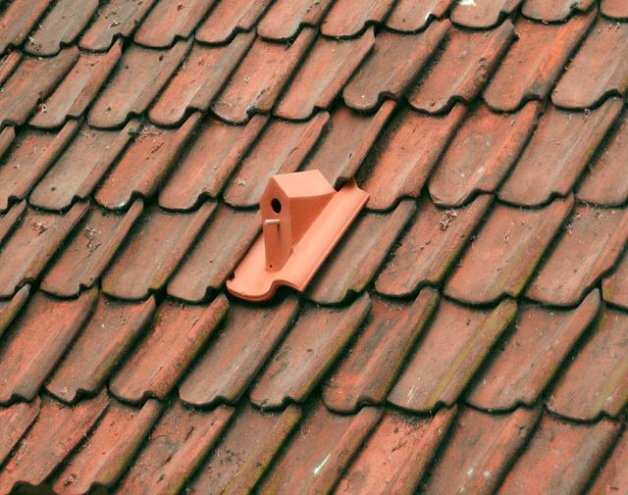 Se a telha da sua casa quebrar, que tal trocá-la por uma casinha para pássaros?