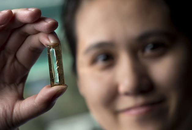 Estudante cria ‘sem querer’ uma bateria que pode durar 400 anos
