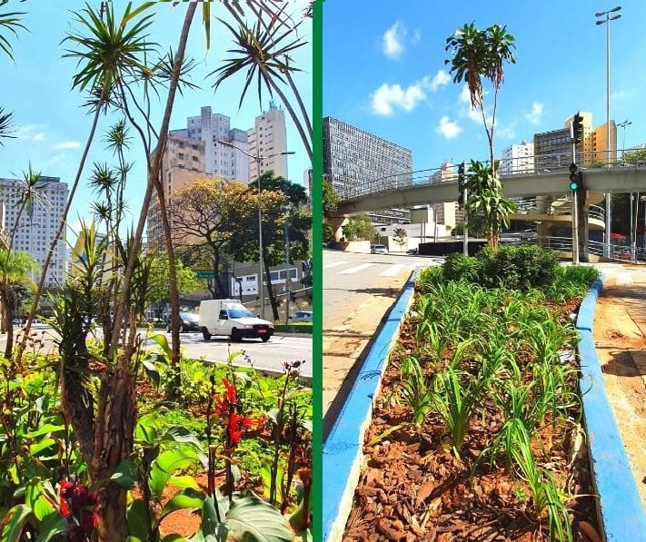 São Paulo terá 400 jardins de chuva até 2024