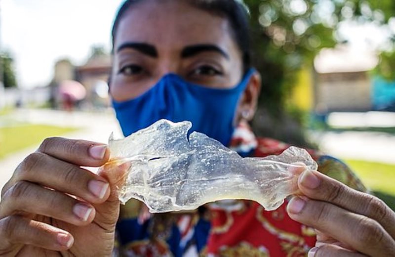 Baiana inventa plástico filme comestível e sustentável feito de plantas