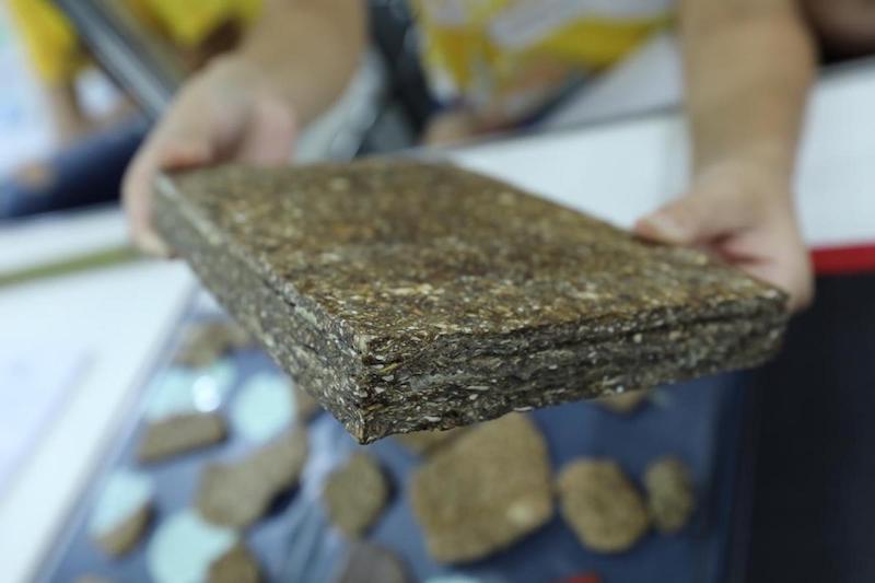Estudantes brasileiras criam madeira sustentável a partir de resíduos de mandioca