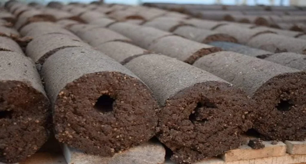 Resíduos de azeitonas viram combustível ecológico