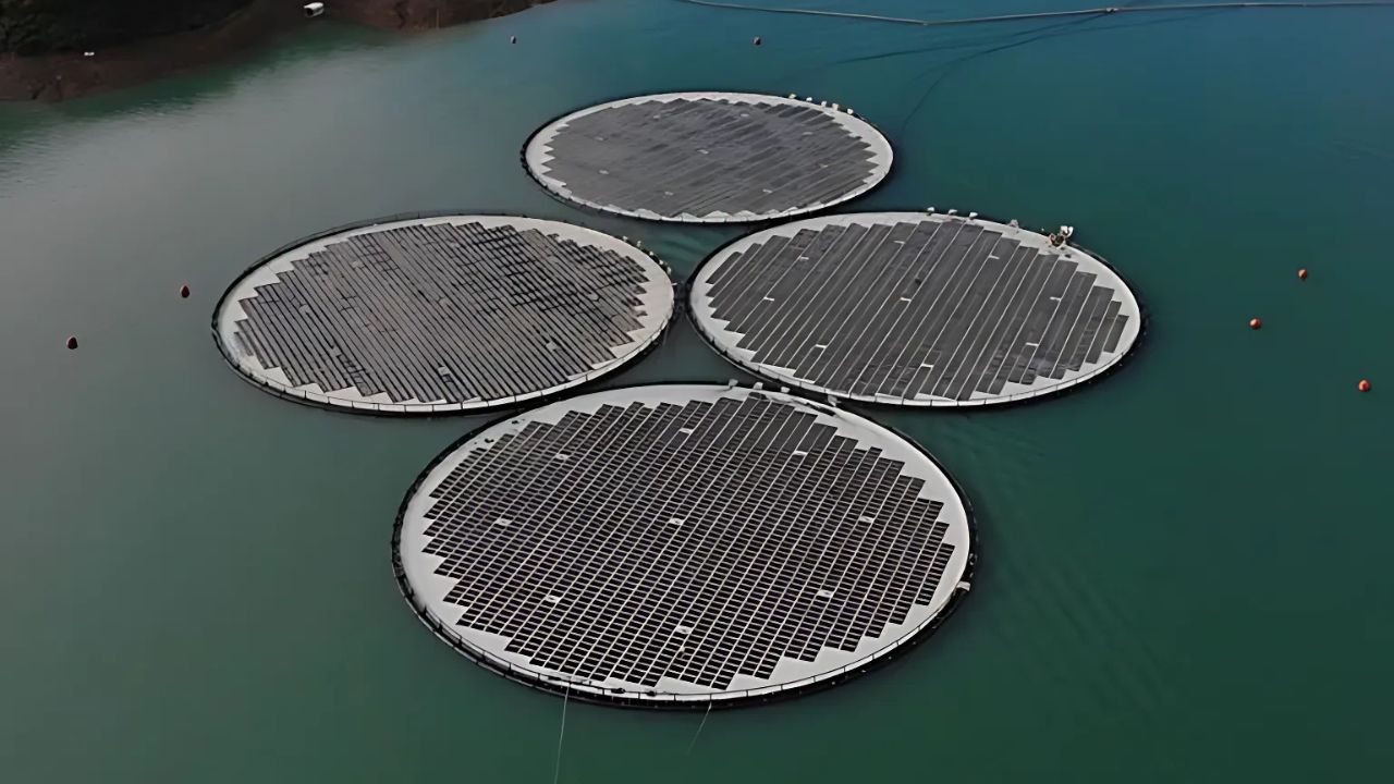 Painéis solares flutuantes ajudam a proteger corpos d’água e gerar energia na Austrália