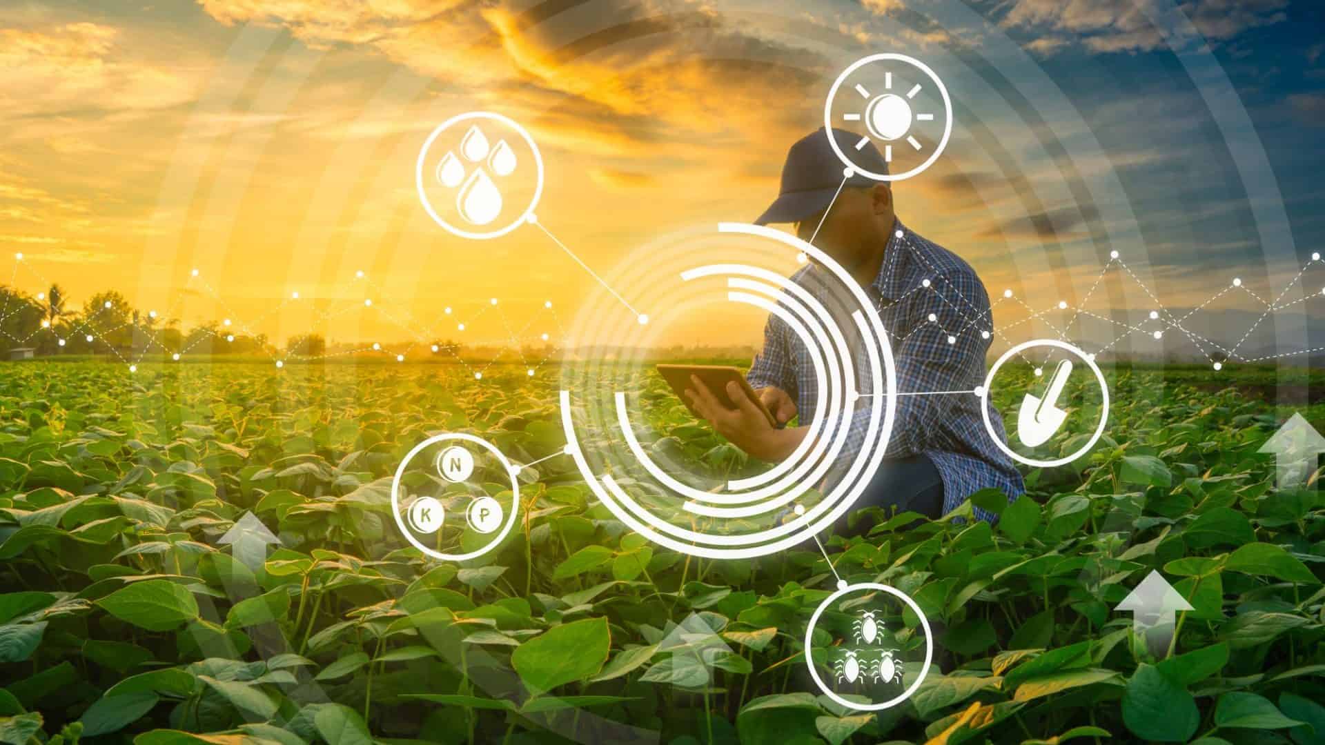 Nova pesquisa mostra como será a agricultura do futuro