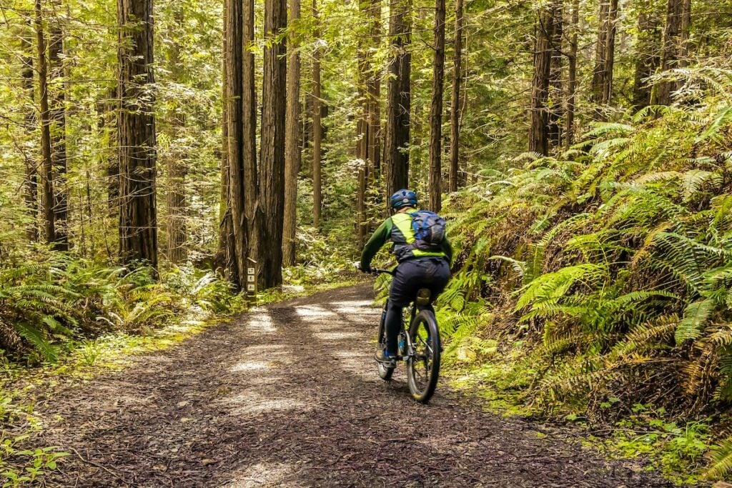 Pedalar fortalece músculos, melhora sono e bem-estar mental