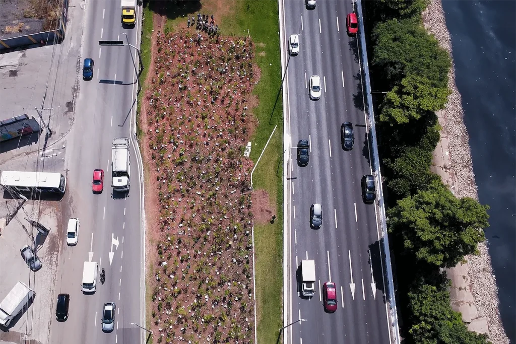 Microfloresta é plantada em Belém como legado da COP30