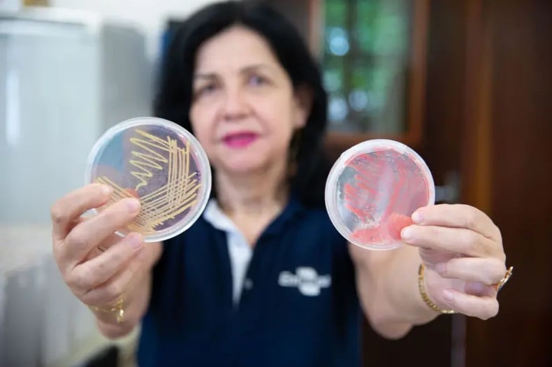 Brasileira vence Nobel da Agricultura por inovação sustentável