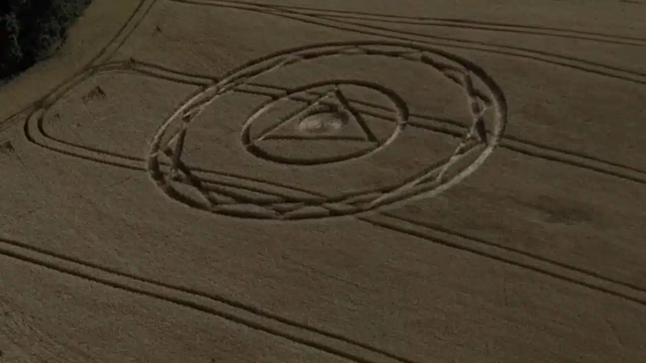 Desenho misterioso surge em plantação de trigo em Santa Catarina