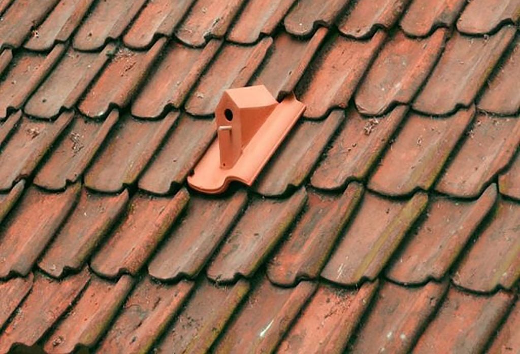 Telha com casa para pássaros atrai biodiversidade para cidades Telha com casa para pássaros atrai biodiversidade para cidades