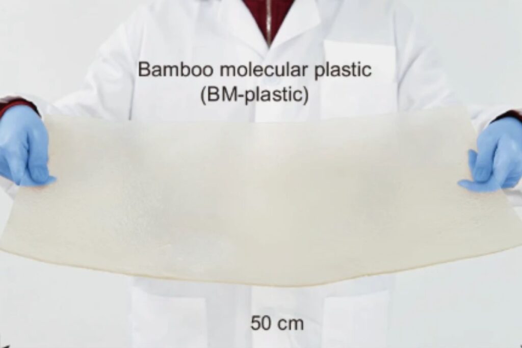 Plástico de bambu se equipara a plásticos tradicionais Plástico de bambu se equipara a plásticos tradicionais